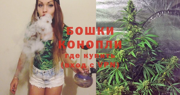 прущие грибы Вязники