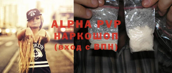 прущие грибы Вязники
