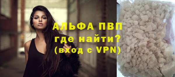 прущие грибы Вязники