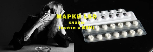 прущие грибы Вязники